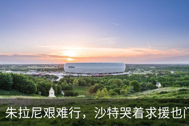 朱拉尼艰难行，沙特哭着求援也门大军
