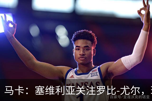 马卡：塞维利亚关注罗比-尤尔，球员本赛季瑞典超15场15球